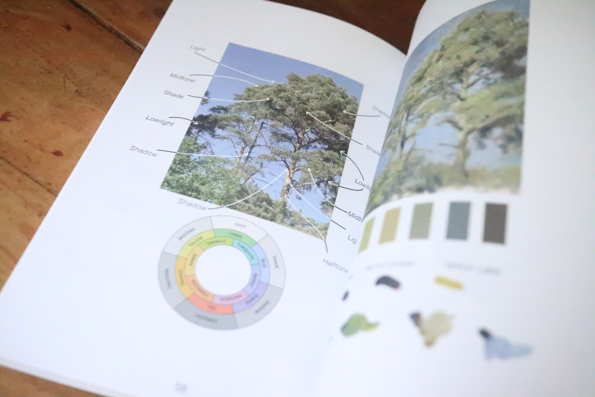 Diagram from Vision of Art detailing the use of The Colour Clock©