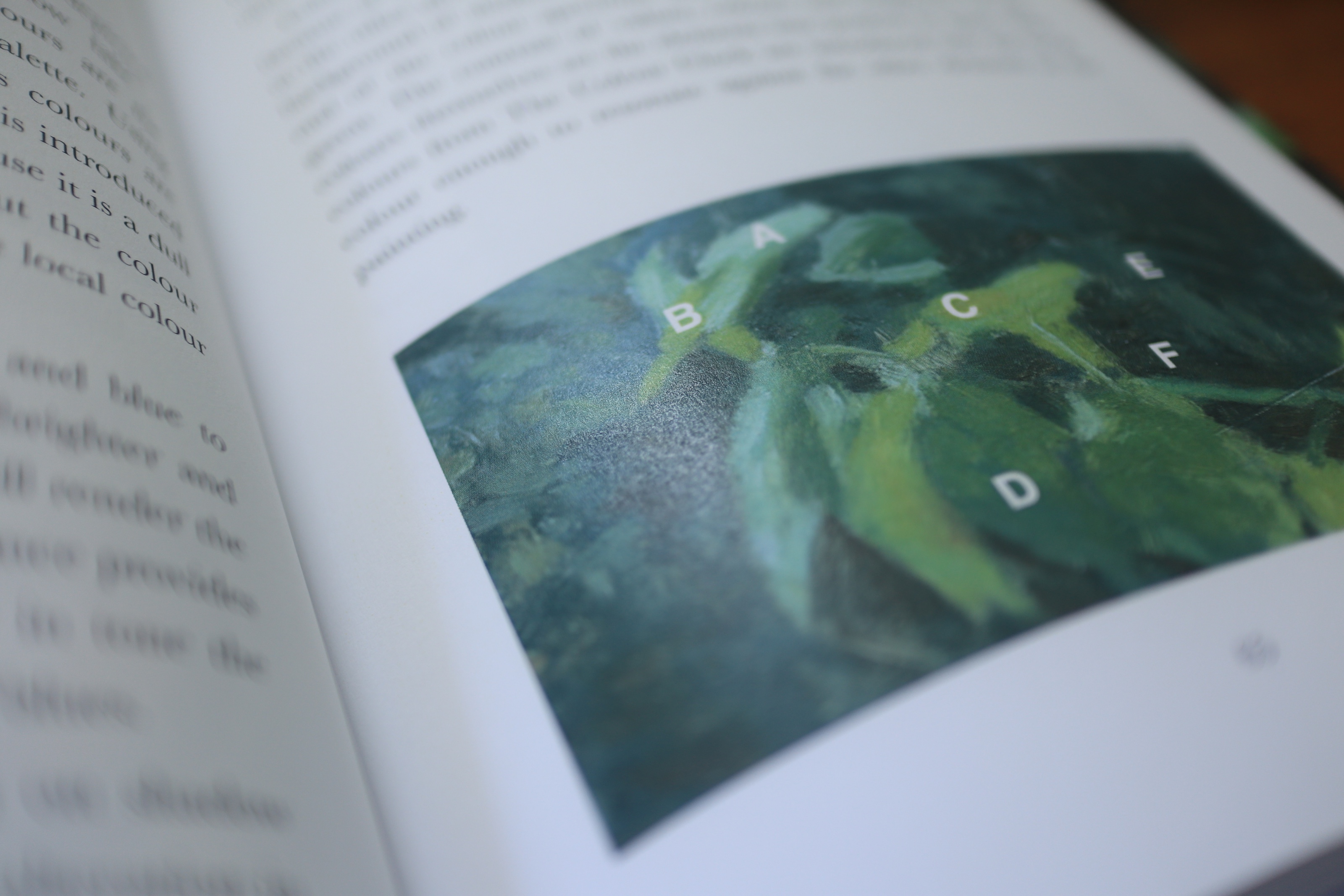 Inside Vision of Art, Mechanisms of Focus